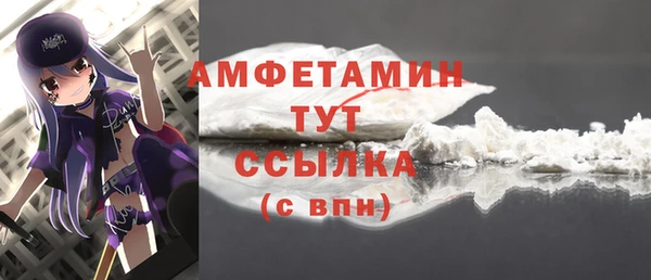 твердый Арсеньев