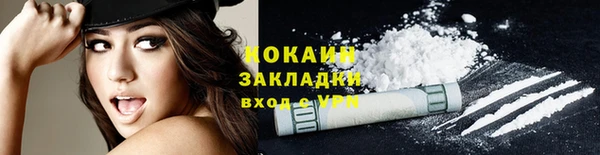 твердый Арсеньев