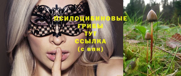 твердый Арсеньев