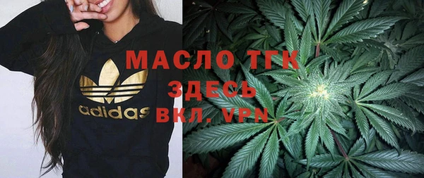 твердый Арсеньев